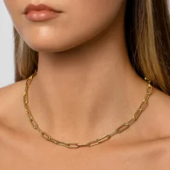 Clearance Boyfriend Paperclip Chain Necklace in Gold Gifts For Him | Best Friend Gifts