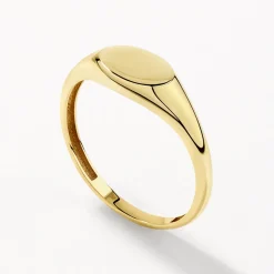 New Engravable Oval Signet Pinky Ring in 10k Gold Engravable Jewellery | Rings