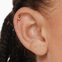Discount Micro Shell Helix Single Stud Earring in 10k Gold Earrings | Studs