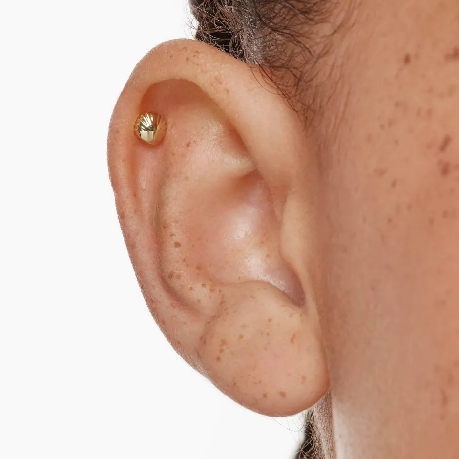Discount Micro Shell Helix Single Stud Earring in 10k Gold Earrings | Studs