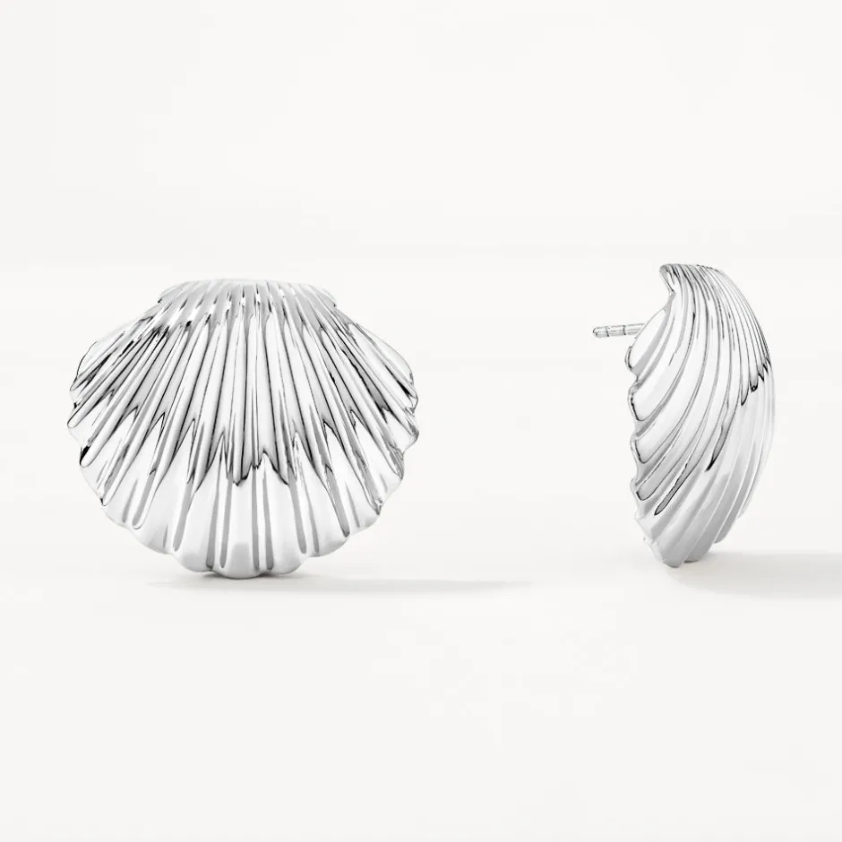 Sale Shell Stud Earrings in Silver 925 Sterling Silver | Earrings