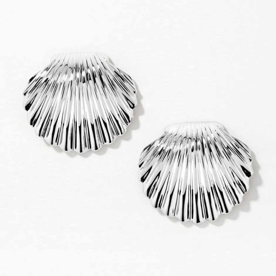 Sale Shell Stud Earrings in Silver 925 Sterling Silver | Earrings
