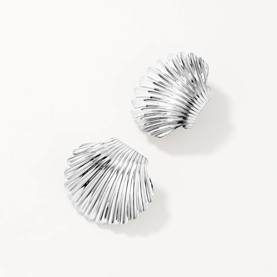 Sale Shell Stud Earrings in Silver 925 Sterling Silver | Earrings