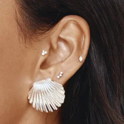 Sale Shell Stud Earrings in Silver 925 Sterling Silver | Earrings