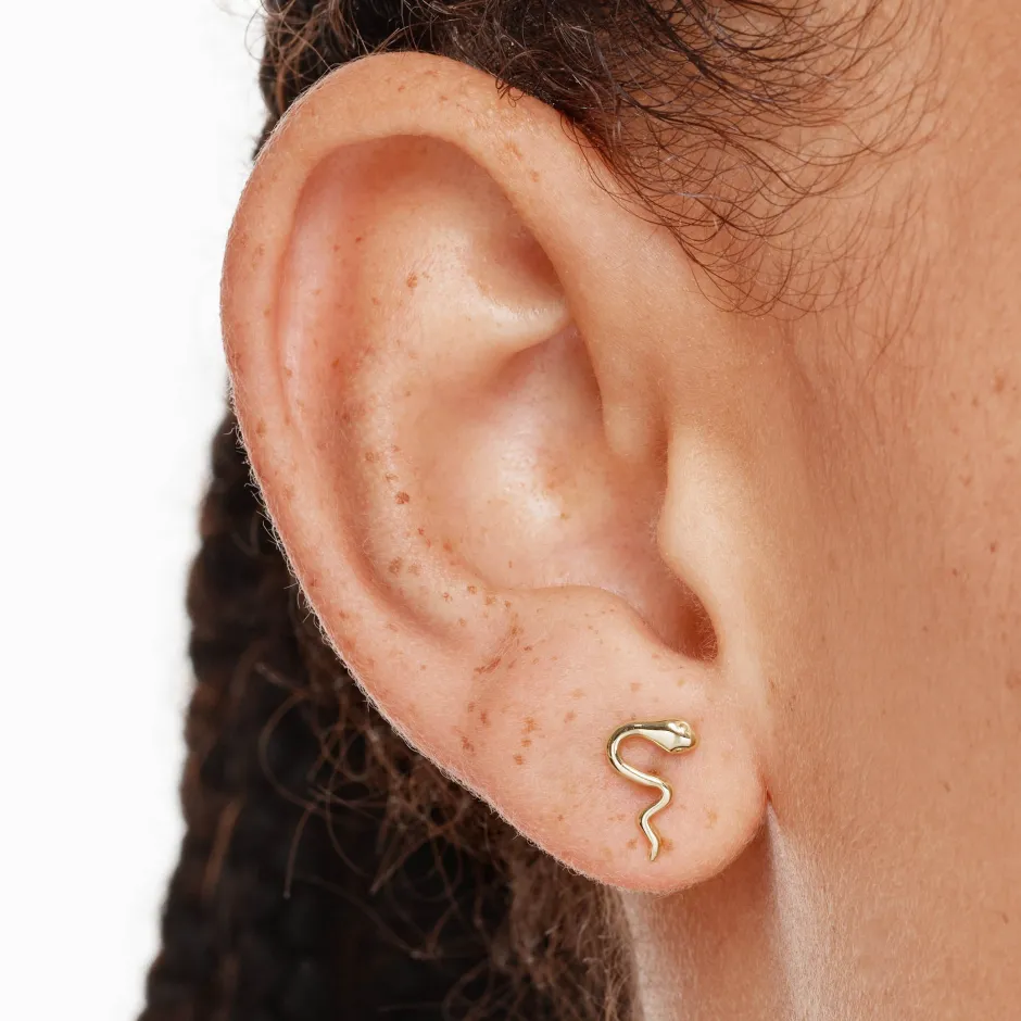 Discount Snake Stud Earrings in 10k Gold Earrings | Studs